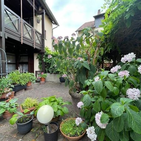 Apartment Gerberbachviertel Weinheim Exterior photo